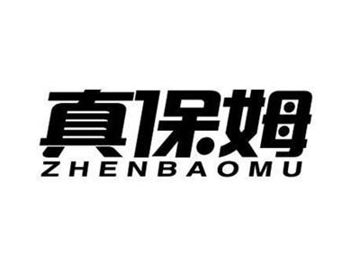 真保姆