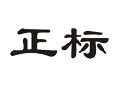 正标