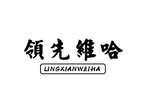 领先维哈