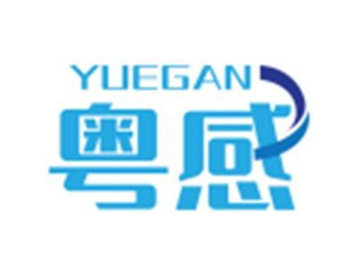 粤感