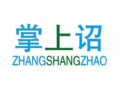 掌上诏