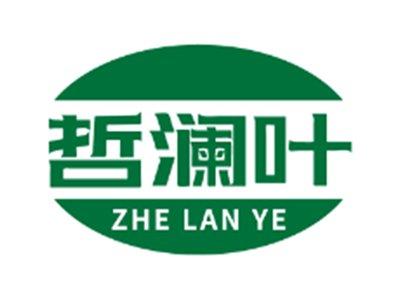 哲澜叶