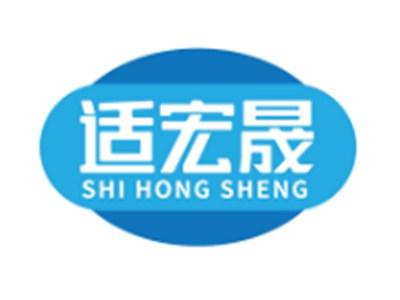 适宏晟