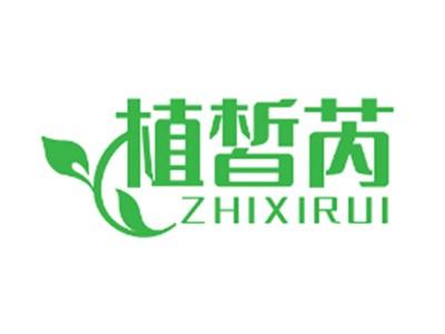 植皙芮