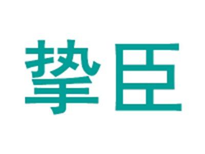 挚臣