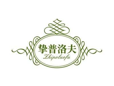 挚普洛夫