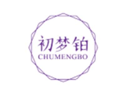 初梦铂