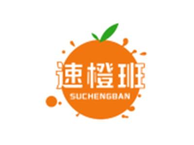 速橙班