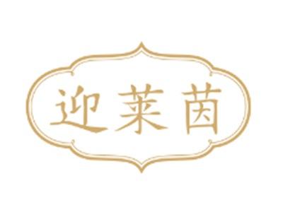 迎莱茵