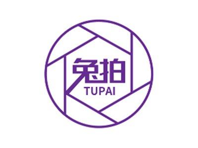 兔拍