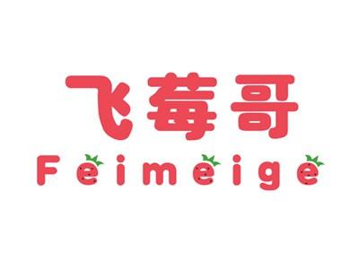 飞莓哥