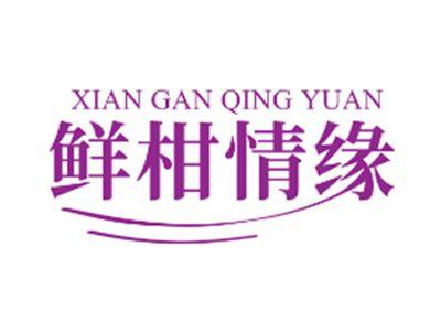 鲜柑情缘