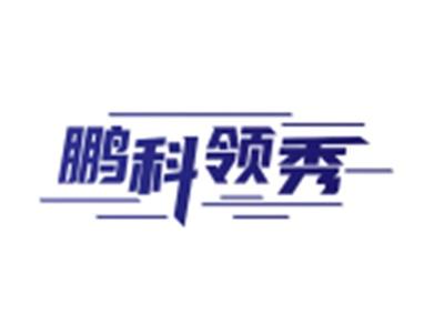 鹏科领秀
