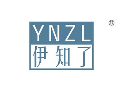 伊知了YNZL