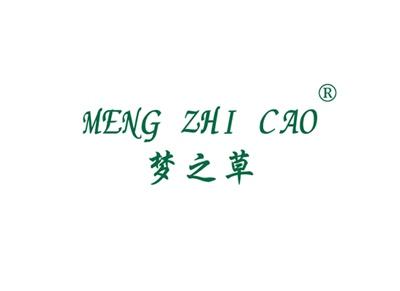梦之草MENGZHICAO