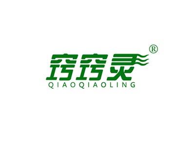 窍窍灵QIAOQIAOLING