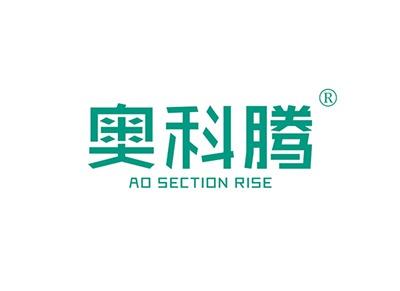 奥科腾AOSECTIONRISE