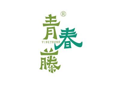 青春藤VINEYOUNG