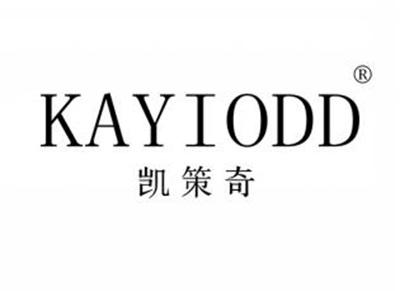 凯策奇KAYIODD