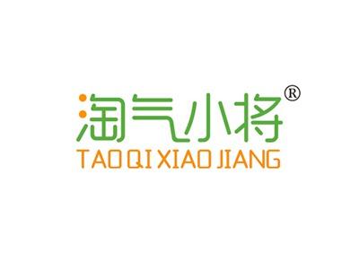 淘气小将TAOQIXIAOJIANG