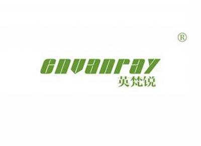 英梵锐ENVANRAY