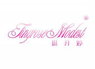 挺升婷TINGROSEMODEST