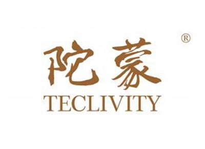 陀蒙TECLIVITY