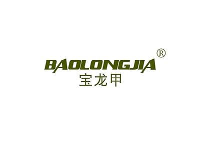 宝龙甲BAOLONGJIA