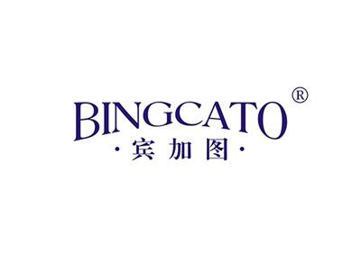 宾加图BINGCATO