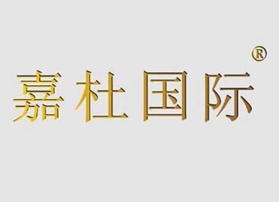 嘉杜国际