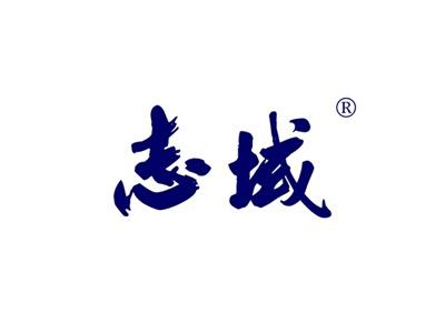 志域