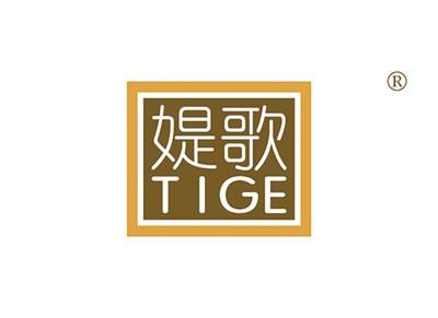 媞歌TIGE