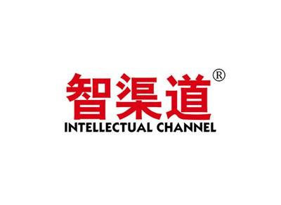 智渠道INTELLECTUALCHANNEL