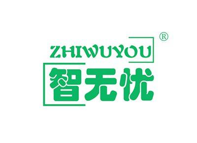 智无忧ZHIWUYOU