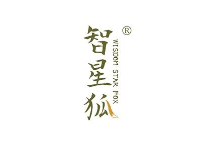 智星狐WISDOMSTARFOX