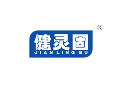 健灵固JIANLINGGU