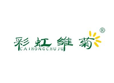 彩虹雏菊CAIHONGCHUJU
