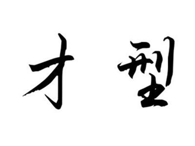 才型