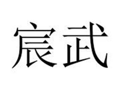 宸武