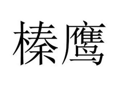 榛鹰