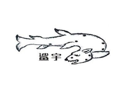 鲨宇