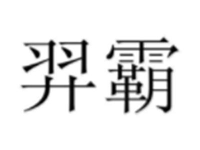 羿霸