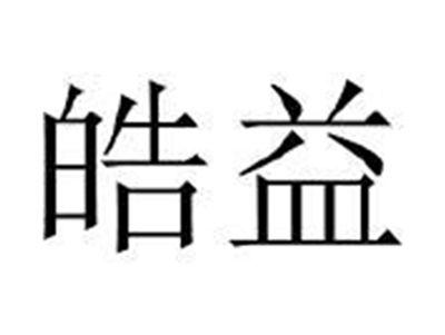 皓益