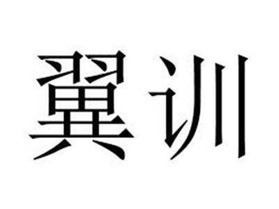 翼训