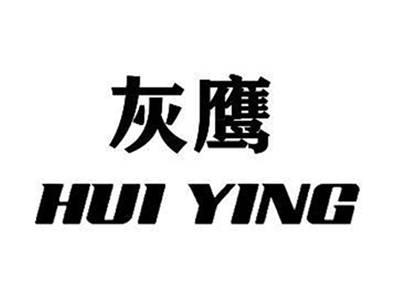 灰鹰