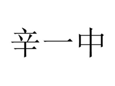 辛一中