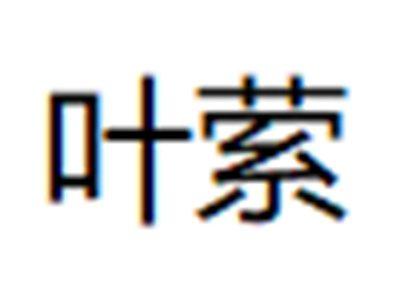 叶萦