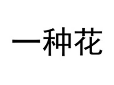 一种花