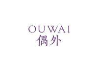 偶外