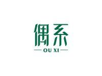 偶系